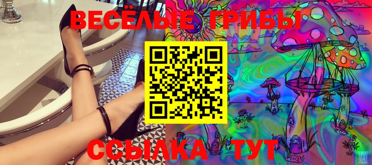 Галлюциногенные грибы Psilocybe  Вход с VPN  Костомукша 