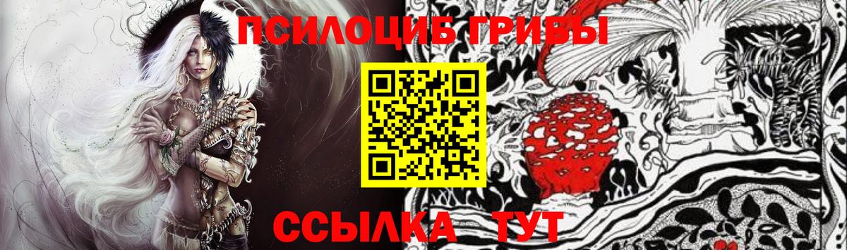 Псилоцибиновые грибы Cubensis Костомукша